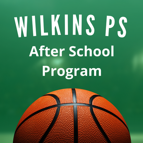 Term 4, 2023: Wilkins After School Program - MARRICKVILLE - Wilkins PS